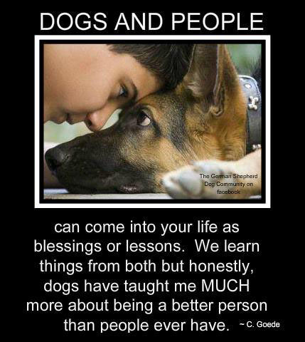 Dog Thoughts