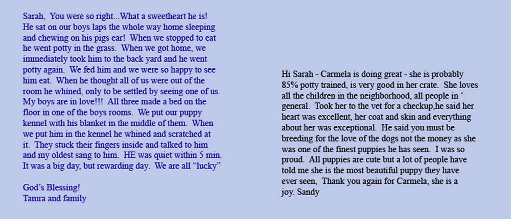 Homestead Cockapoo References