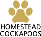 Homestead Cockapoos - Dog Breeder of Cockapoos