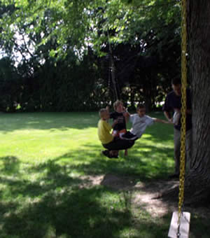 Tire Swing on Farm